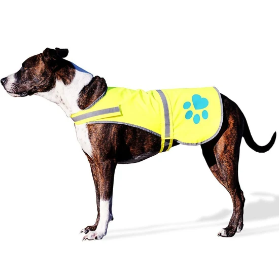 Veste de protection extérieure pour chiens en gros Gilet réfléchissant de sécurité LED Gilets de sécurité réfléchissants pour animaux de compagnie